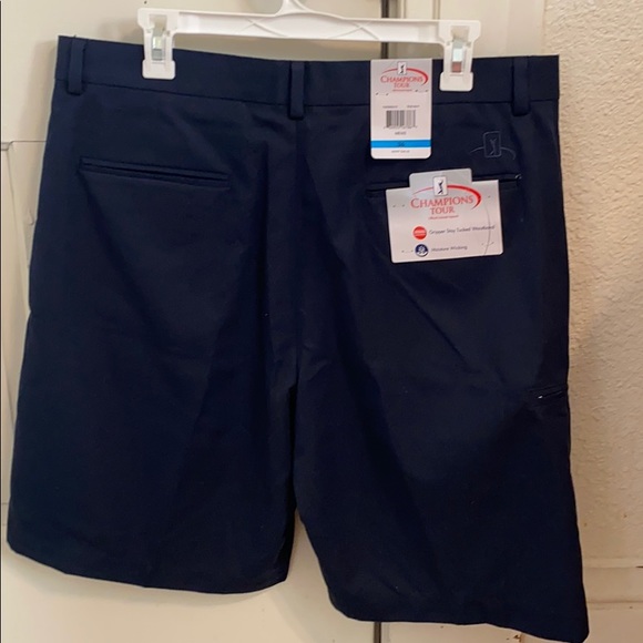 Shorts - Picture 2 of 3